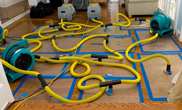 Professional Water Extraction technician working in Saugatuck, MI